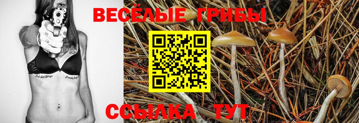 Псилоцибиновые грибы Magic Shrooms Муравленко