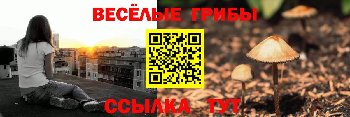 Галлюциногенные грибы прущие грибы  Псилоцибиновые грибы Cubensis  Муравленко  Вход с VPN 